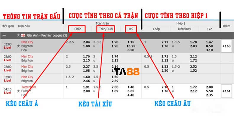 Cách xem tỷ lệ kèo bóng đá trực tuyến chi tiết