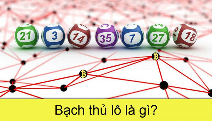bach thu lo la gi