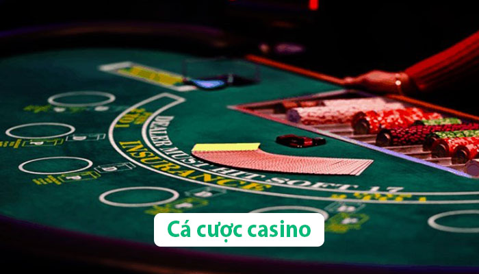 ca cuoc casino truc tuyen