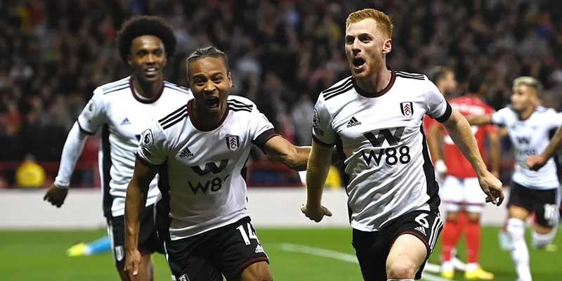 Fulham vs Tottenham Hotspur 