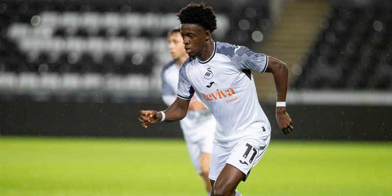 Bournemouth vs Swansea City 